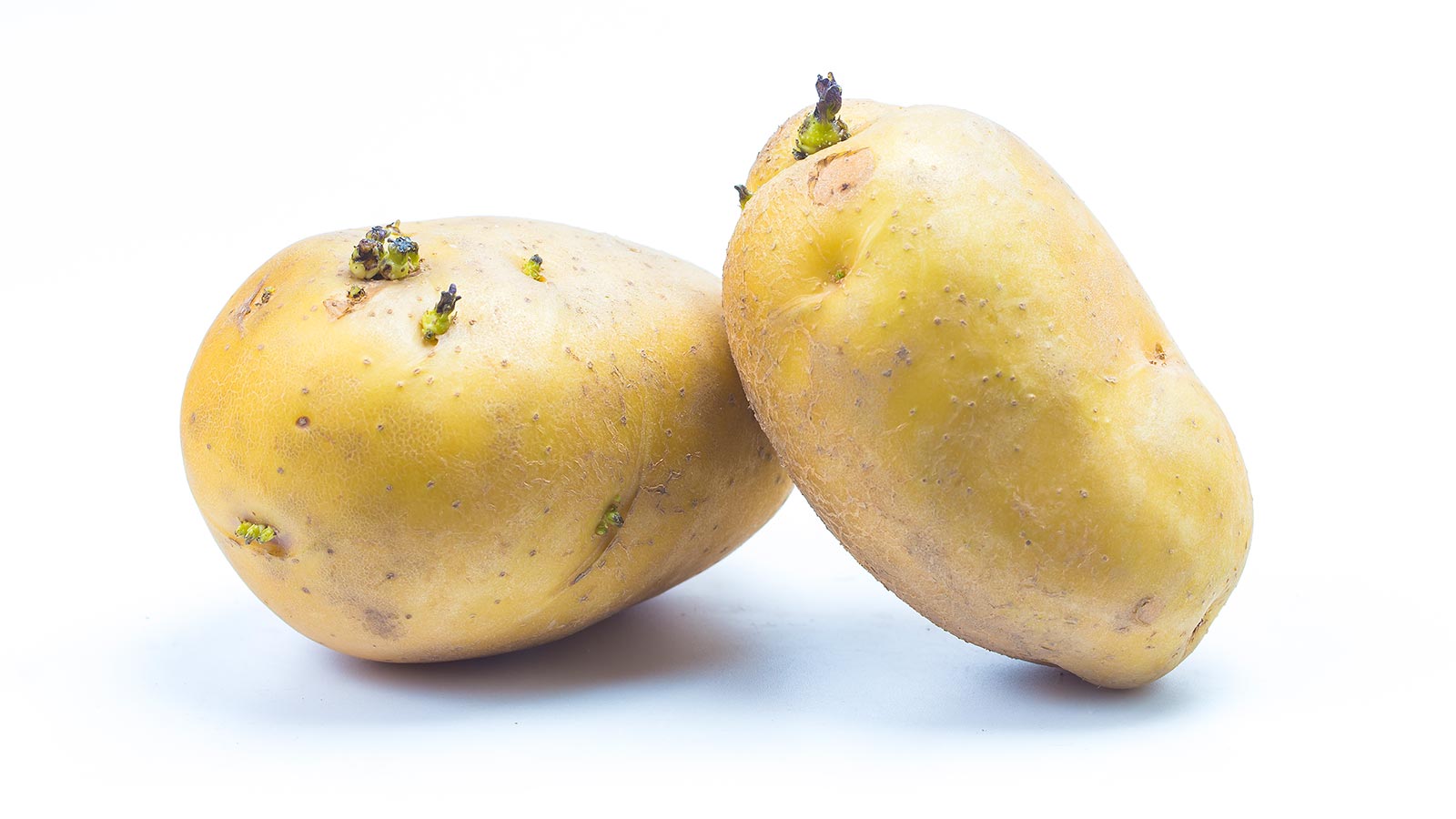 Sustancias tóxicas naturales